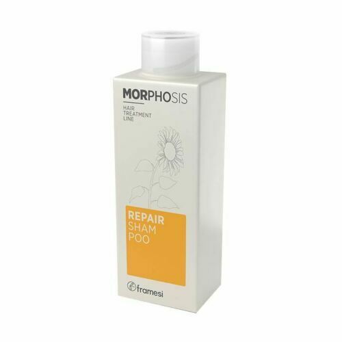 MORPHOSIS REPAIR SH. 250 ML / شامبو ا لإصلاح من مورفسيس 250مل